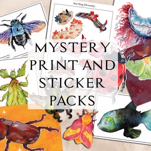 Mystery Print and Sticker Pack