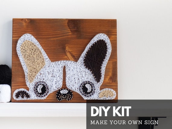Diy Creative Art Craft Kit, Creative Diy Kit Animal