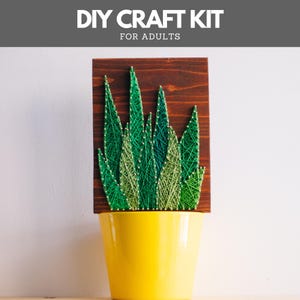 Kit de arte con hilo para adultos: Kit de manualidades con aloe vera