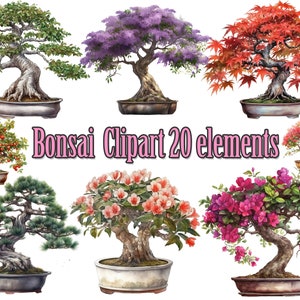 Bonsai Tree Clipart,Watercolor Bonsai,Bonsai Png,Japanese clipart,Bonsai Trees,Garden Plants,Bonsai Bundle PngPng,Botanical Art Png,