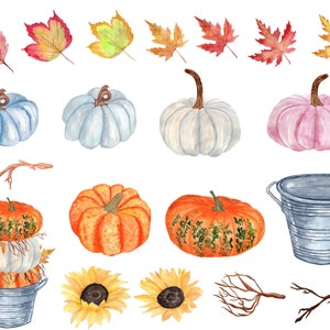 May include: Watercolour illustration of autumn harvest elements, including pumpkins, gourds, leaves, sunflowers, and a galvanised metal bucket. The pumpkins are in various shades of orange, blue, and pink. The leaves are in shades of red, orange, and yellow. The sunflowers are yellow with brown centres. The bucket is grey with a silver rim.