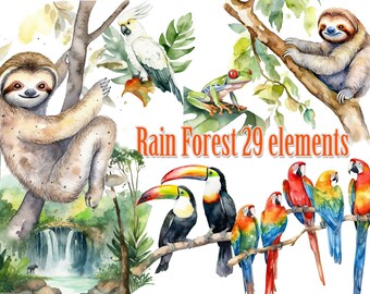 Rain Forest Clipart.Jungle clipart,Sloth clipart,Toucan clipart,Macaws clipart,cockatoos clipart,Jungle Frog png, Jungle animals png