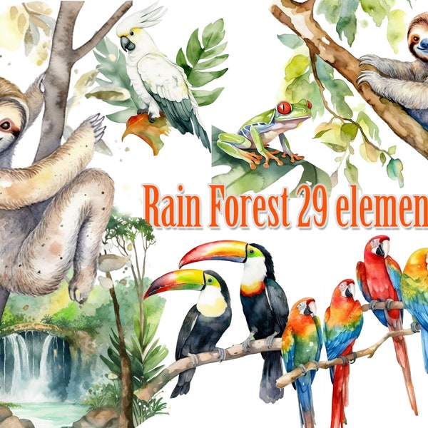 Rain Forest Clipart.Jungle clipart,Sloth clipart,Toucan clipart,Macaws clipart,cockatoos clipart,Jungle Frog png, Jungle animals png