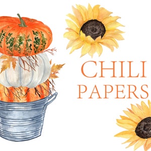 May include: A stack of three pumpkins in a galvanised metal bucket with autumn leaves and branches. The pumpkins are orange, white, and orange. Two sunflowers are in the background. The text "CHILI PAPERS" is written in orange letters.