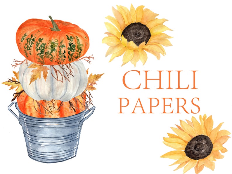 May include: A stack of three pumpkins in a galvanised metal bucket with autumn leaves and branches. The pumpkins are orange, white, and orange. Two sunflowers are in the background. The text "CHILI PAPERS" is written in orange letters.