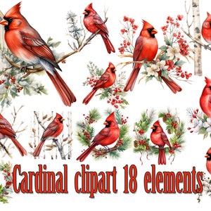 Roter Kardinal Aquarell Clipart, Kardinal Clipart, roter Kardinal PNG, roter Kardinal Vogel, Weihnachtsvogel Png, Sublimation Design, Kinderzimmer Kunst