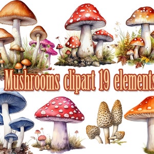Champignons aquarelle Clipart, champignon vénéneux png clipart, champignons de la forêt, clipart Fantasy, champignons Bundle, clipart Nature, champignon tacheté Png,