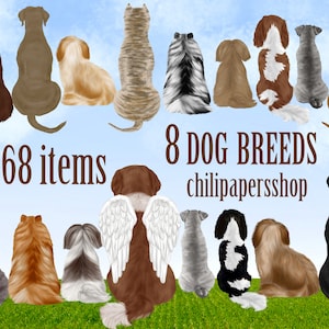 Hond rassen Clipart, Honden illustraties, Huisdieren illustraties, Puppies Clipart, Hond minnaar cadeau, Honden achteraanzicht, Cane Corso Shih Tzu, Pomeranian Doberman