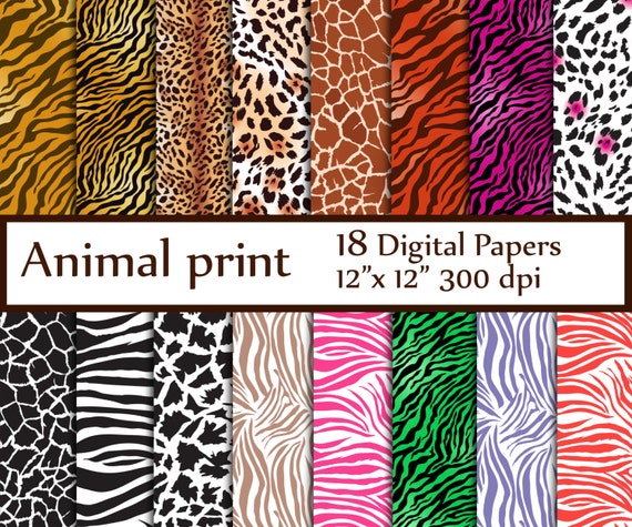 Animal Print Digital Paper: animal PRINT Paper 