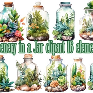 Mason Jar Terrarium Clipart,Greenery Clipart Kräuter Jar Clipart,Nature in a Jar,Nature Illustrationen,Terrarium jar Plants,Jars Clipart png