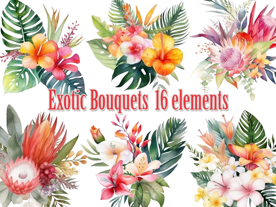 Watercolor Tropical Flowers Clipart,tropical Bouquets,floral Clipart