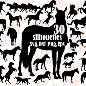 Silueta de caballo Svg: "HORSE CLIPART" caballo Svg Bundle, siluetas de animales, archivos de corte de caballo, caballo Dxf, archivos para Cricut, silueta Cameo