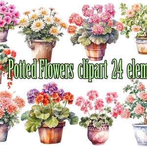 Topfblumen Clipart, Blumen Clipart Png, Aquarell Pflanze, Pflanzen Clipart, Zimmerpflanzen Clipart, Topfpflanzen, Zimmerpflanze Clipart