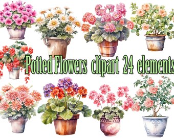 鉢植えの花のクリップアート、花のクリップアート PNG、水彩植物、植物のクリップアート、観葉植物のクリップアート、鉢植えの観葉植物、観葉植物のクリップアート
