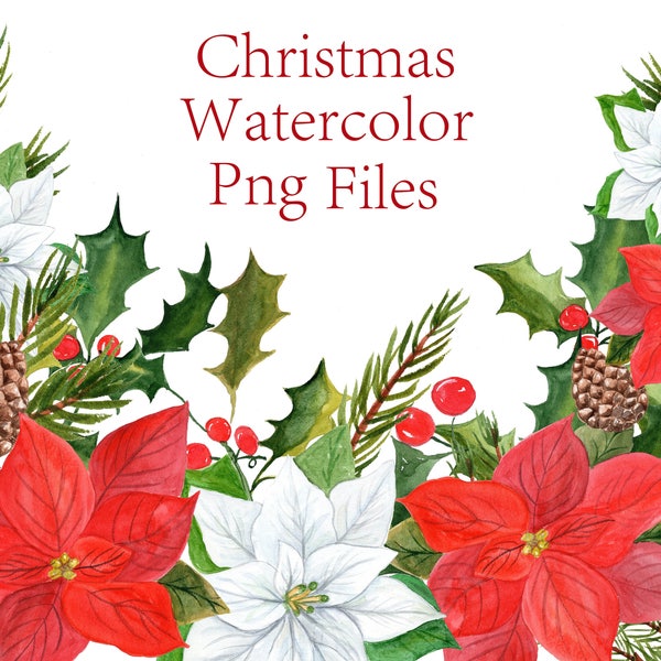 Poinsettias clipart,Watercolor poinsettias, Christmas clipart, Christmas florals,Christmas card,Pine cone,Holiday clipart,Holiday flowers