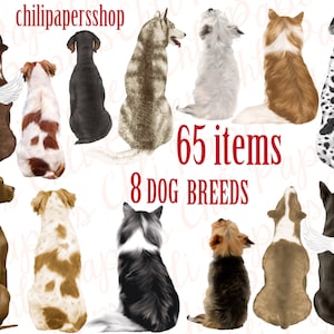 Chiens clipart,Races de chiens Clipart,Animaux de compagnie Illustrations,Chiots Clipart,Cadeau amoureux des chiens,Chiens vue arrière,Husky Grand Danois,Weimaraner Png.Yorkie