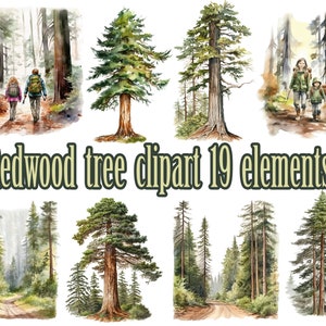 Aquarell rot Holz Wald Clipart, Redwood Bäume Clipart, Nationalpark Clipart, Bäume grün Png, Holz Clip Art, Wald Clipart, Wald Png