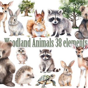 Woodland Animals Clipart,Watercolor Animals png,Baby Animals clipart,Nursery Decor Wall Art,Cute Baby Bear,Woodland Landscape,Forest Animals