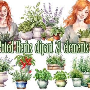 Ervas em aquarela, clipart de ervas, vasos de plantas png, ervas culinárias png, vasos de ervas para cozinha, clipart de jardinagem, jardim de ervas, decoração de cozinha