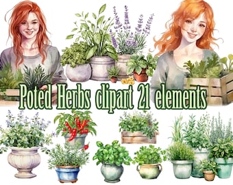Watercolor herbs, Herbs clipart, Potted plants Png, Culinary herbs png, Kitchen Herbal Pots, Gardening clipart, Herbal garden, Kitchen decor