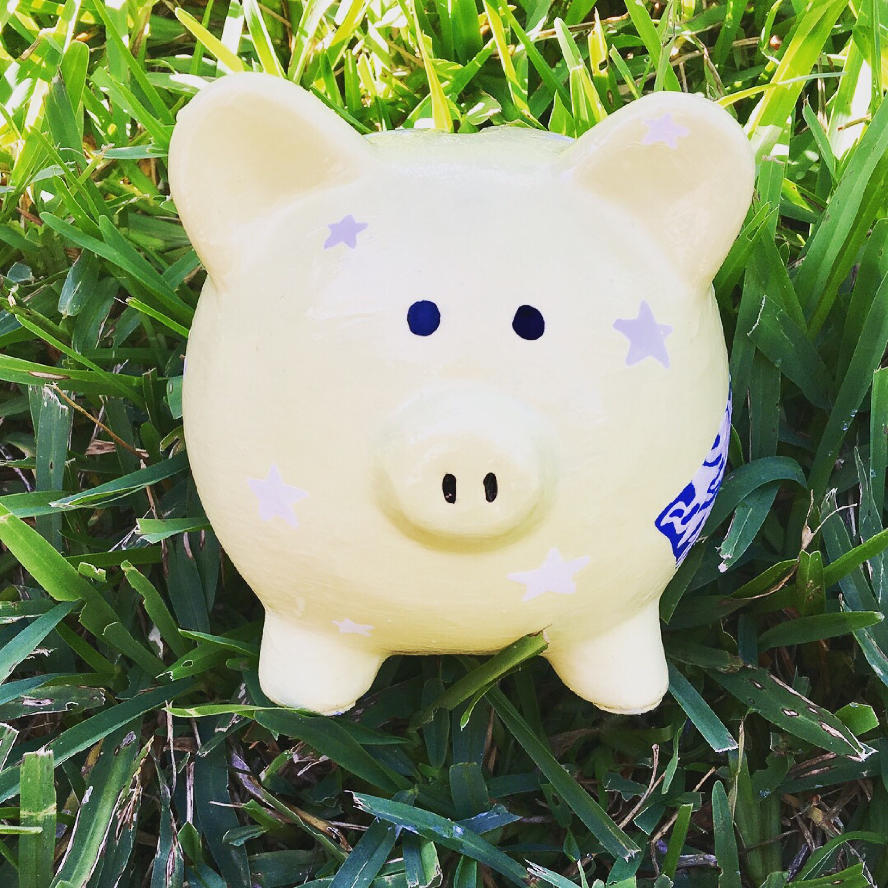 Hand Painted custom Piggy Bank hand painted piggy bank | Etsy