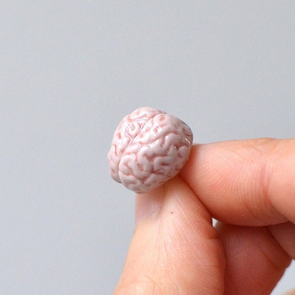 Petit Cerveau. Pin's en porcelaine