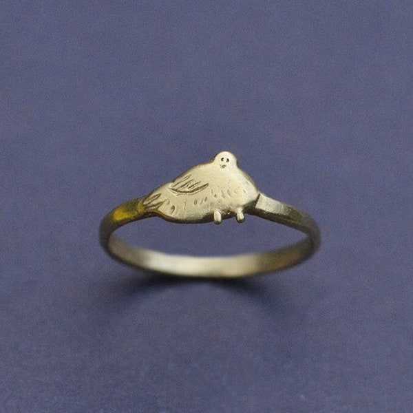 Pigeon des villes. Bague laiton