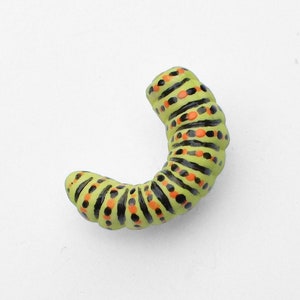 May include: A green and black caterpillar with orange spots, curled into a C shape.