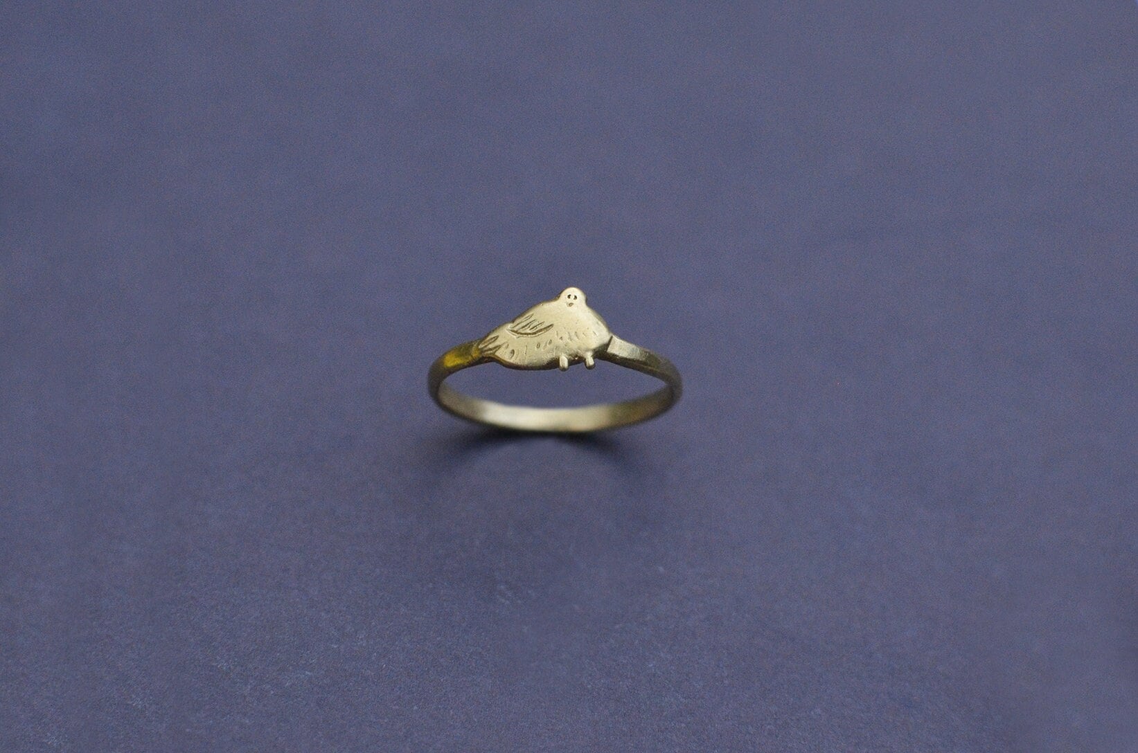 City Pigeon. Brass or Silver Ring