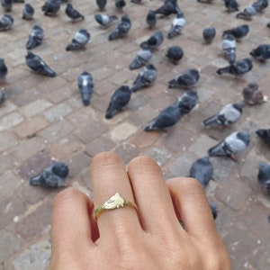 City Pigeon. Brass Ring image 6
