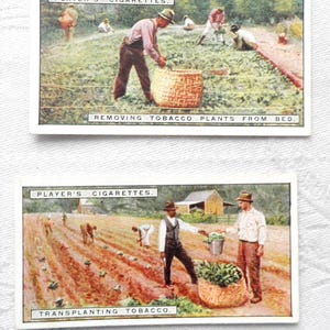 John player and sons - Etsy 日本