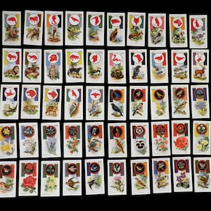 Boy Scout and Girl Guide Cigarette Cards par John Player & Sons 1933 Ensemble de 50 scouts de la nature histoire Collectable