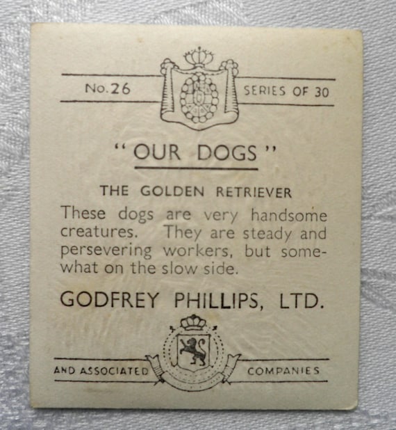 26 The Golden Retriever No Godfrey Phillips “Our Dogs” 1939