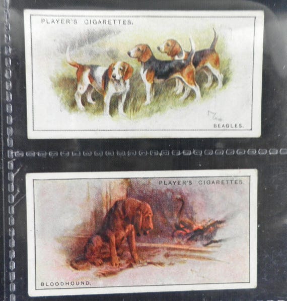 dog cigarette cards The Card: Highly Collectable Turf Cigarettes 50 Famous Dog