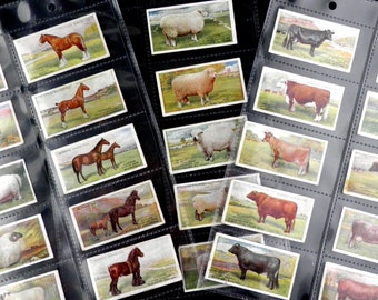 British Livestock Complete Set of 25 by John Player & Sons Cigarette Cards  Issued 1915 Farming Live Stock Agriculture Breeds Rare