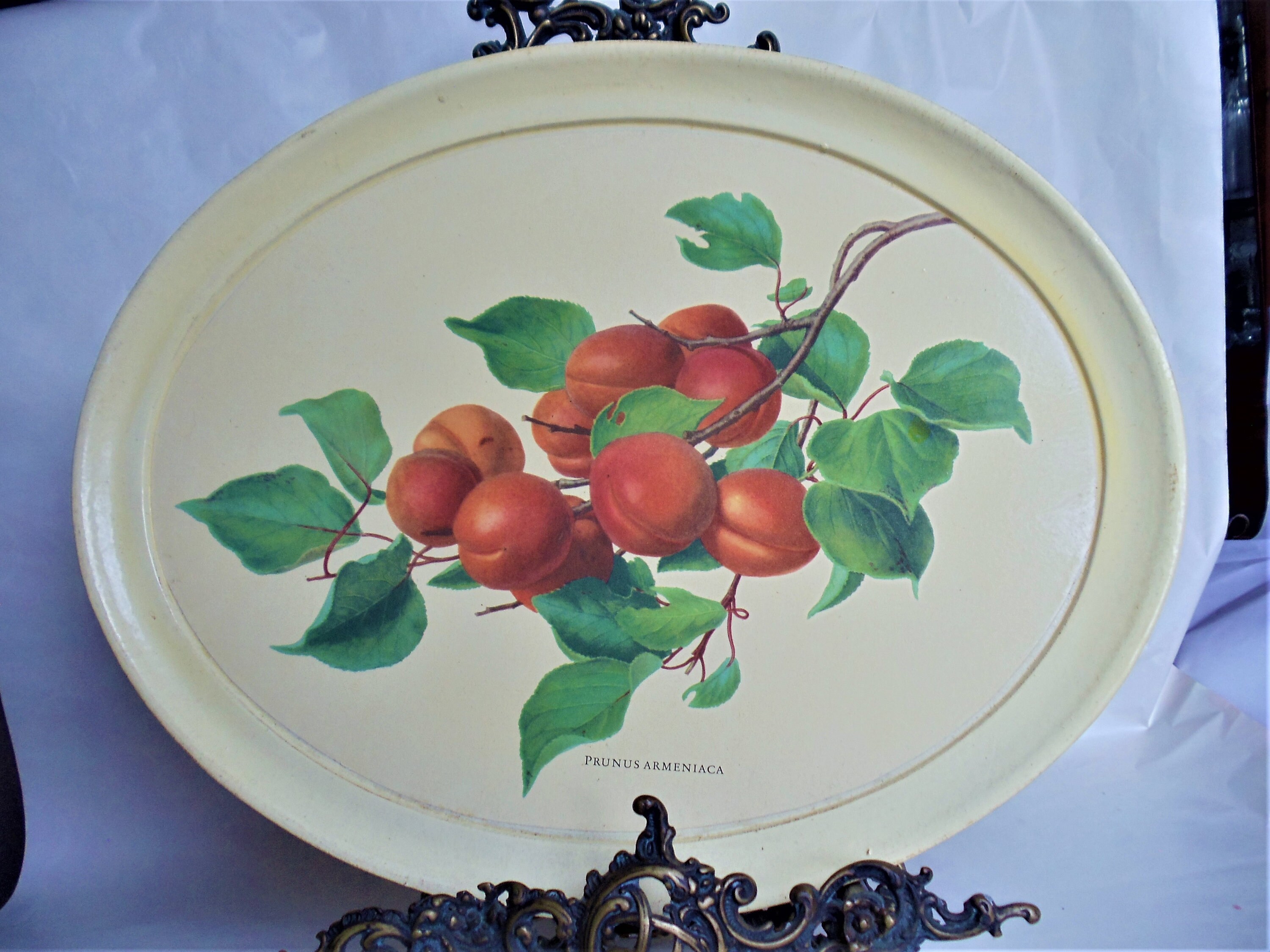 Legno Holz Italy - Etsy