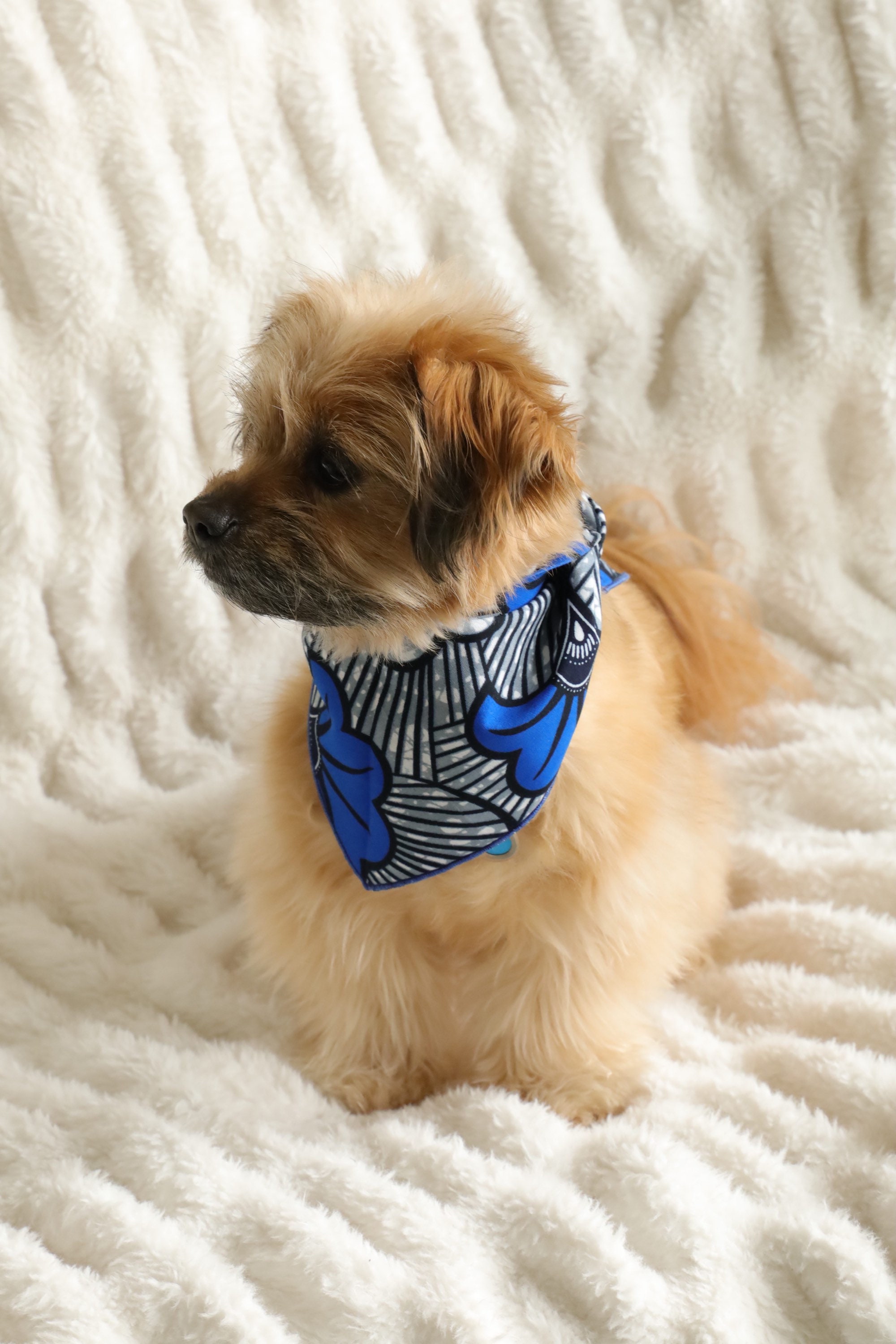 Bandana de Chien Africain, Bandana Bleu, Neckwear d'animal Familier, Accessoires Cadeaux Floral