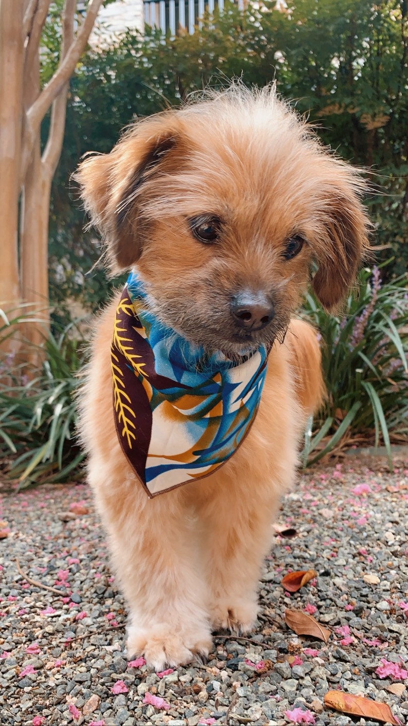 Flower Dog Collar Bandana For Dogs African Pet Bandana Cute Etsy