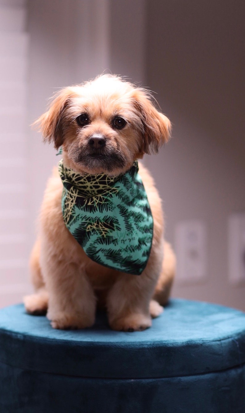 African Fabric Dog Bandana, Green Dog Bandana, Ankara Dog Accessories, Pet Neckwear, Pet Gifts, Unique Gifts, Gifts For Dog Lovers, image 1