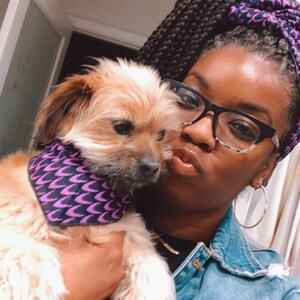 May include: A small, light brown, scruffy-haired dog wearing a purple and black patterned bandana. The bandana features a repeating chevron-like design. The dog is held by a person wearing a matching purple and black patterned headwrap.