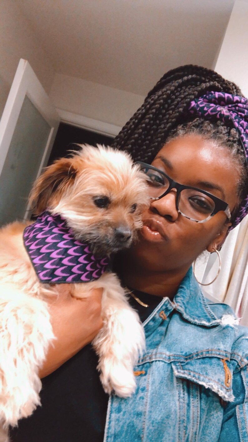 May include: A small, light brown, scruffy-haired dog wearing a purple and black patterned bandana. The bandana features a repeating chevron-like design. The dog is held by a person wearing a matching purple and black patterned headwrap.