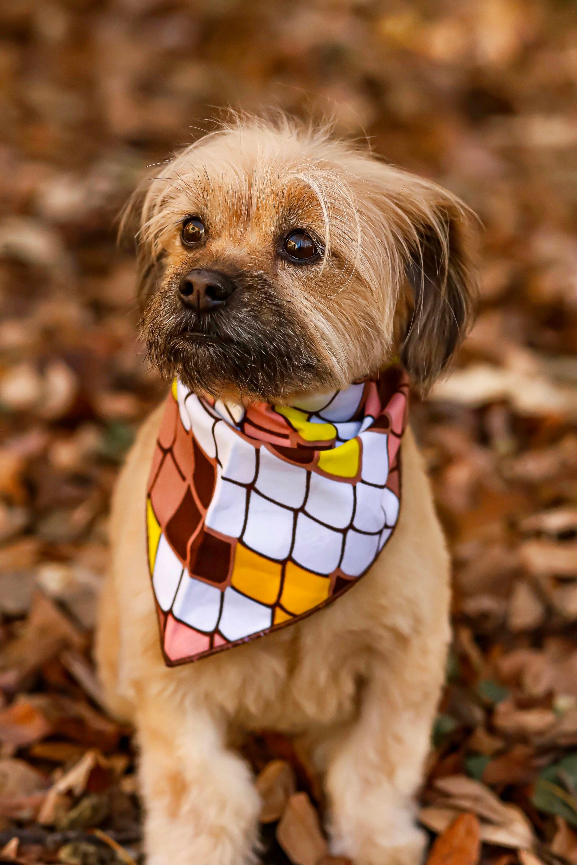 Vêtements de Cou Pour Animaux Compagnie, Bandana Chiens, Cadeaux Africain, Noël, Collier Compagnie