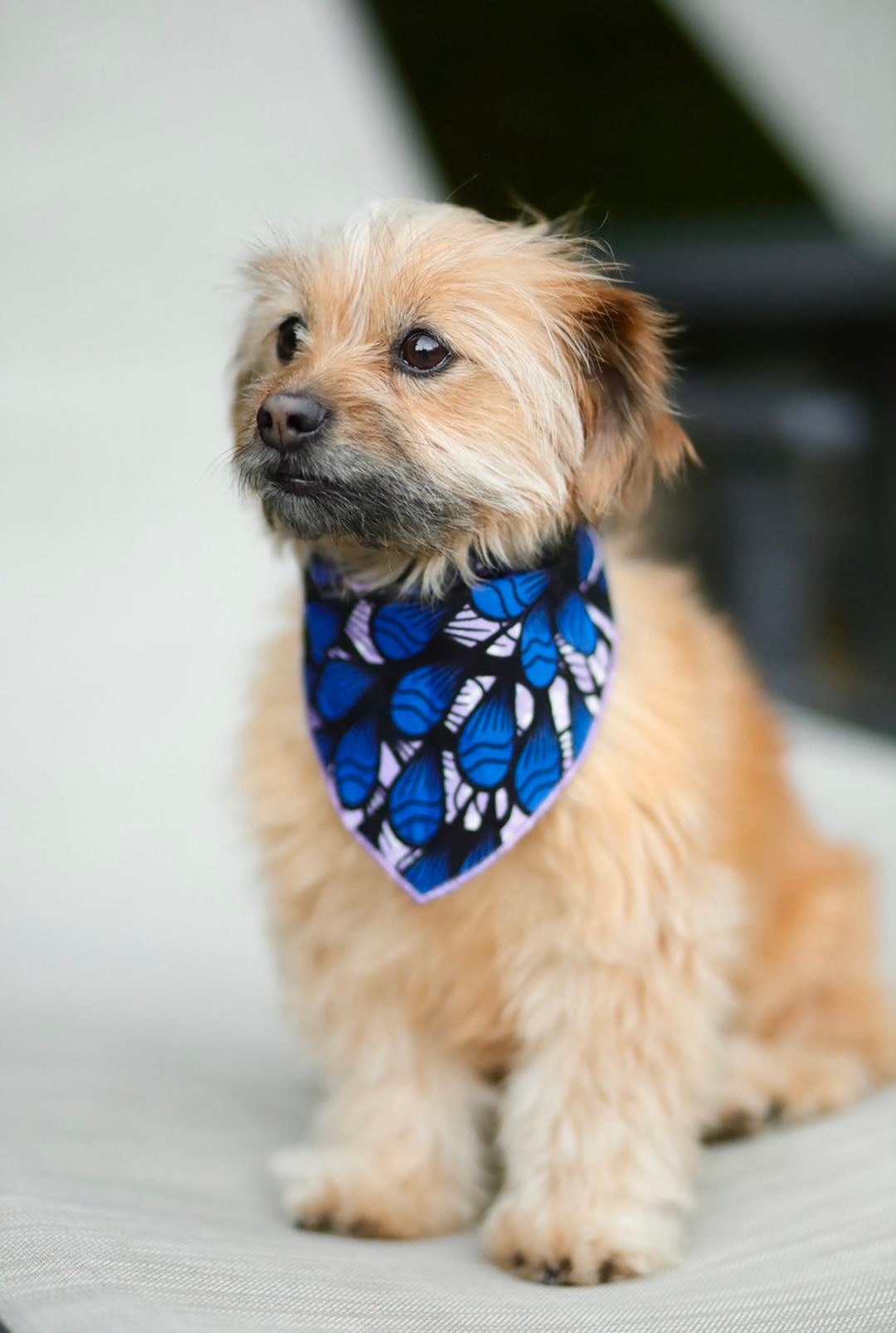 African Fabric Dog Bandana Blue and Purple Dog Bandana Ankara Dog Accessories Pet Neckwear Pet Gifts Unique Gifts Gifts for Dog Lovers Etsy UK