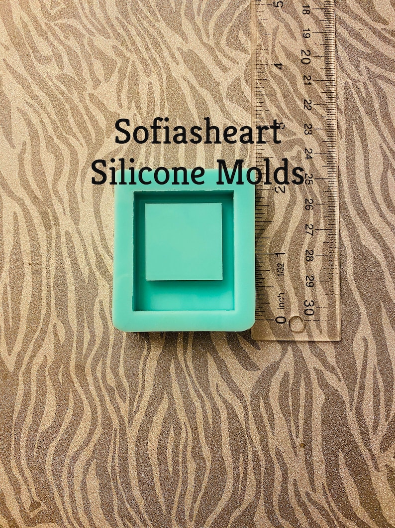 Polaroid Picture Shaker Silicone Mold Small Or Regular