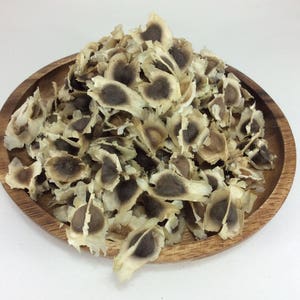 Graines de Moringa Oleifera Arbre aux herbes séchées