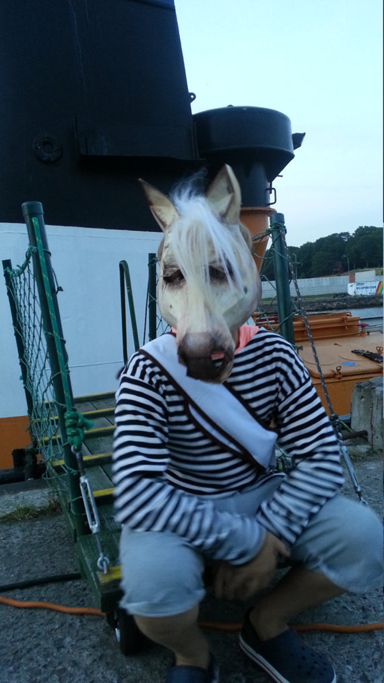 Make Your Own Horse Mask From Cardboard Digital Download DIY Etsy