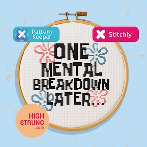 May include: A cross-stitch hoop with the phrase "ONE MENTAL BREAKDOWN LATER" in black block letters. The design includes pink and blue flower accents. The hoop is set against a light blue background.