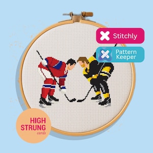 LGBTQ Heated Rivalry Hockey Cross Stitch Pattern | Booktok (PDF Digital Download)