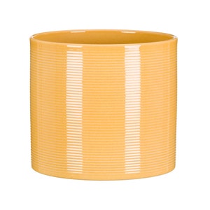 May include: A yellow ceramic planter with a ribbed texture.