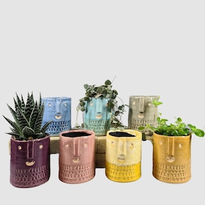 May include: Six ceramic plant pots with different facial expressions. The pots are in various colours, including blue, green, yellow, pink, and purple. The pots are filled with plants, including succulents and a leafy green plant.